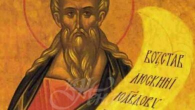Св. пророк Амос, Св. мчк. Исихий Доростолски, Св. Ефрем II, патр. Сръбски