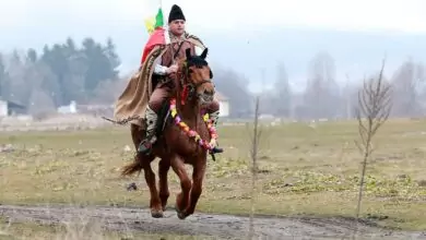 Тодоровден