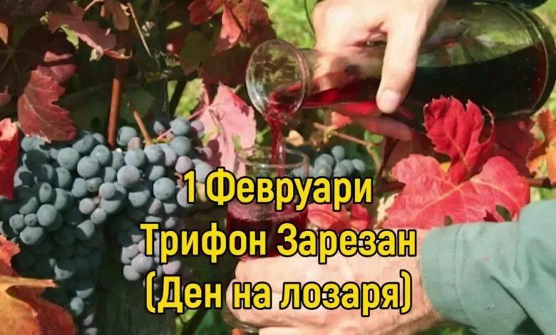 Трифоновден