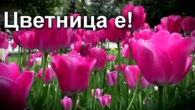 Цветница