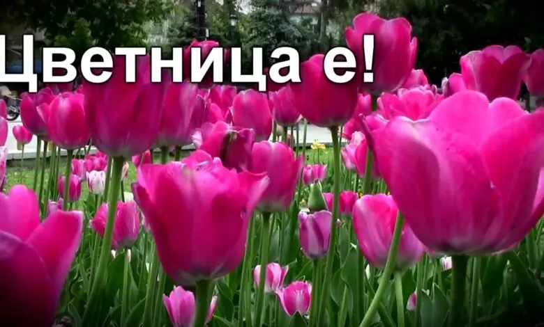 Цветница