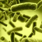 Отглеждаме супер бактерии