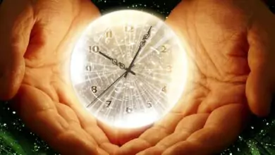 Часовете и биоритмите