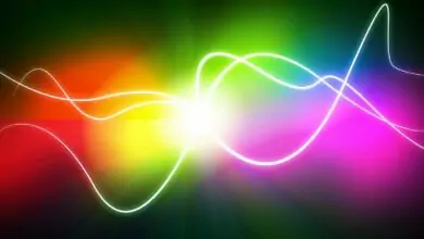 Цветовете лекуват болести