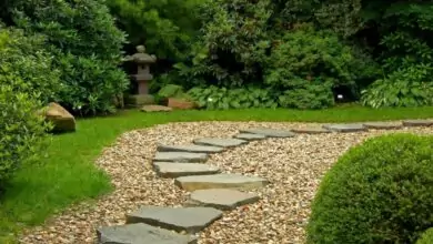 Фън Шуй в градината