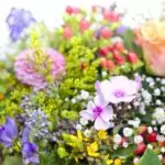 Пожелания за имен ден на жена