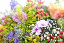 Имен ден на жена