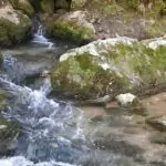 Лечебен извор до село Джулюница