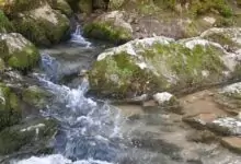 Лечебен извор