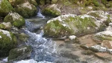 Лечебен извор