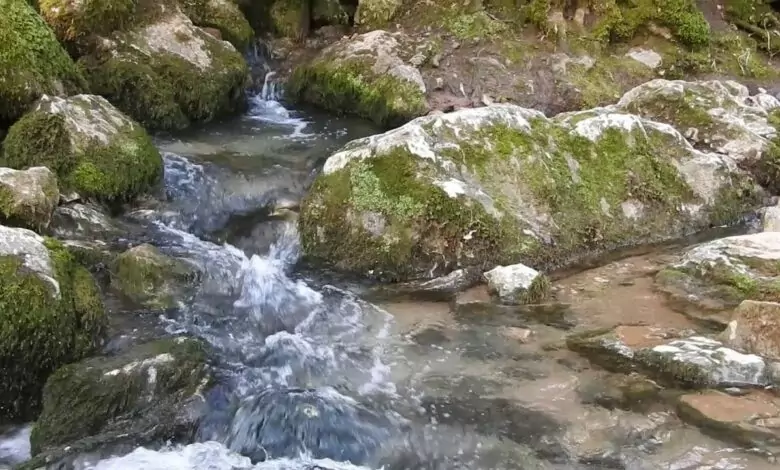 Лечебен извор