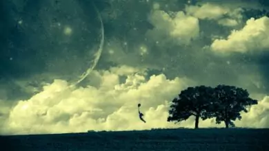 Символи с буква П - съновник