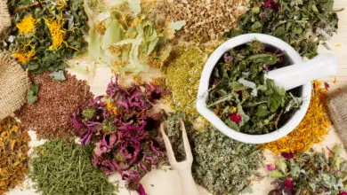 Вкусовете на живота