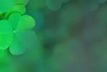 Късметче за деня