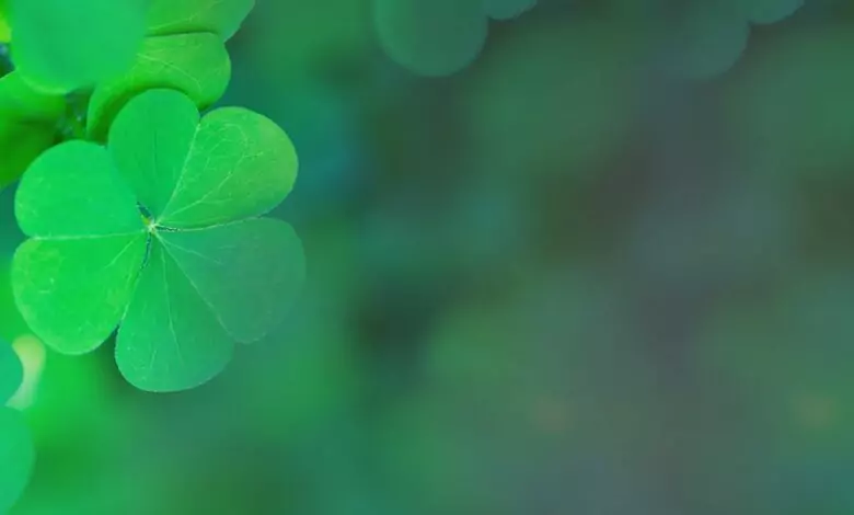 Късметче за деня