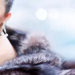 Хитринки за почистване на палта от естествен косъм