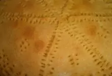 Содена питка