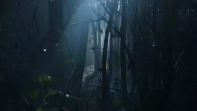 мустериозни сними