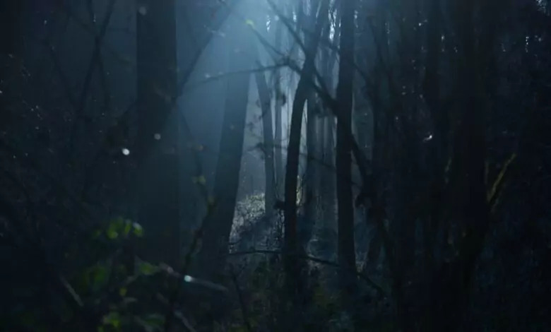 мустериозни сними