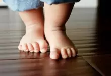 Прощъпулник