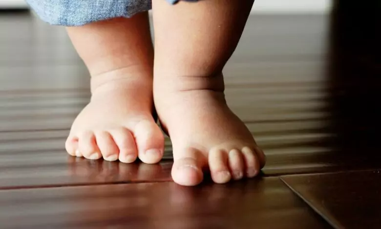 Прощъпулник