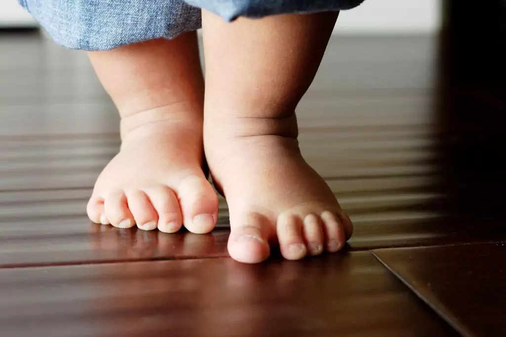 Прощъпулник