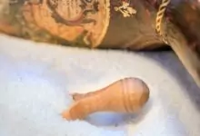 Разваляне на магия с морска сол