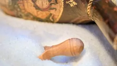 Разваляне на магия с морска сол