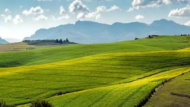 Елемента Земя