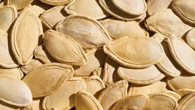 Тиквените семки