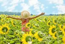 илачи и болежки