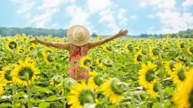 илачи и болежки