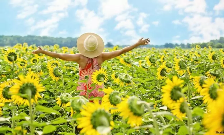 илачи и болежки