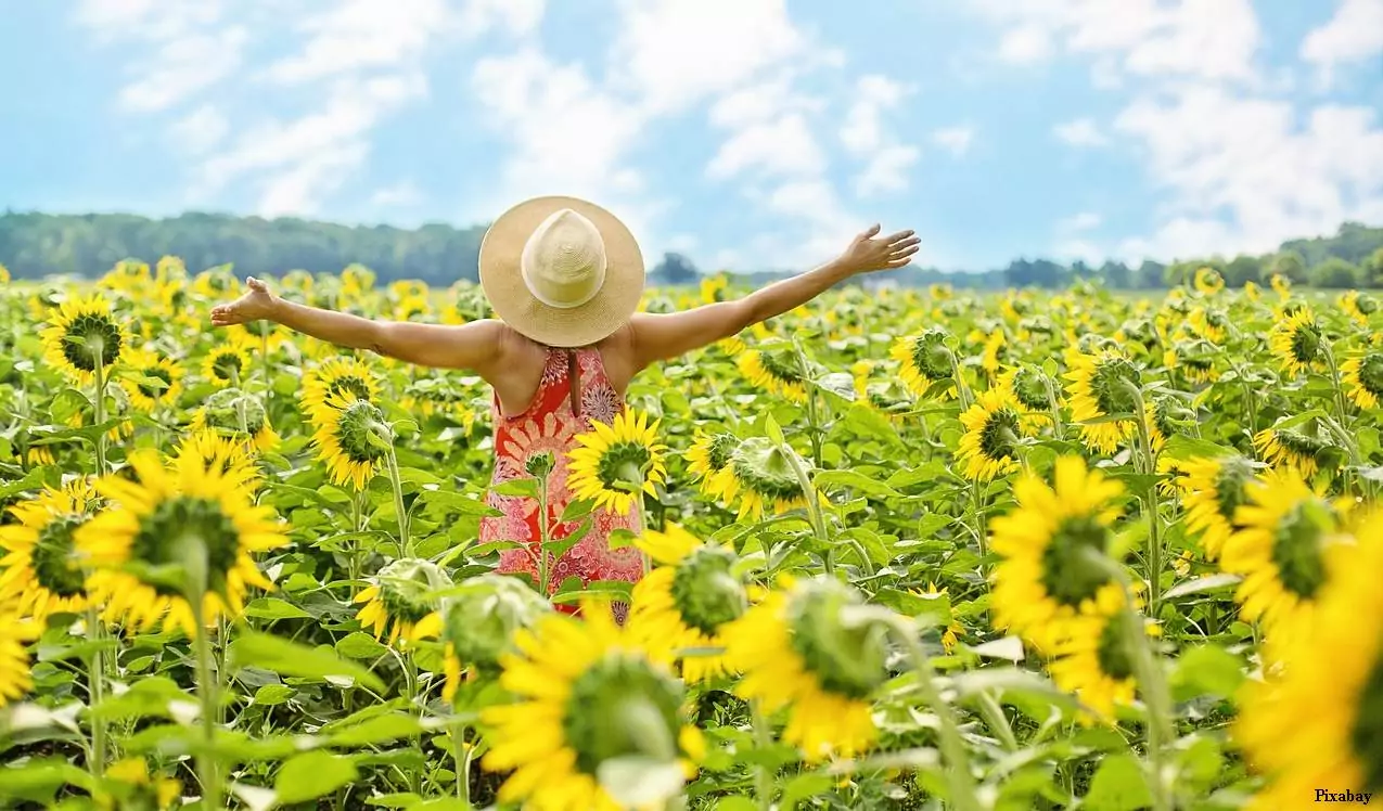 илачи и болежки