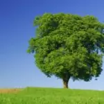 Разгадайте себе си