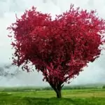 Каква е твоята карма