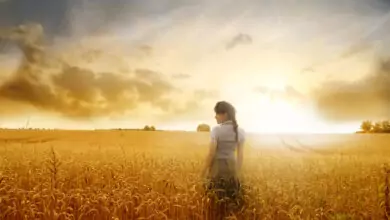 кармата и съдбата