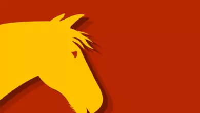 Китайски зодиак - Кон