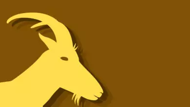 Китайски зодиак - Коза