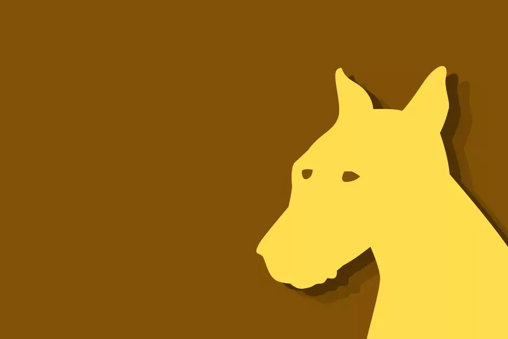 Китайски зодиак - Куче