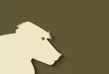 Китайски зодиак - Маймуна