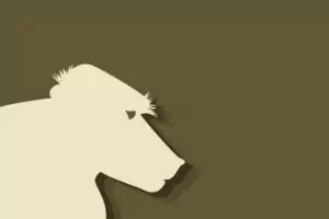 Китайски зодиак - Маймуна