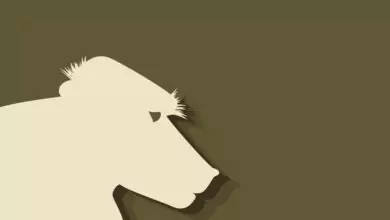 Китайски зодиак - Маймуна