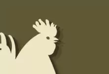 Китайски зодиак - Петел