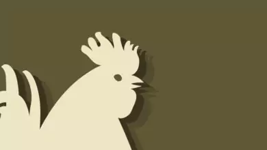 Китайски зодиак - Петел