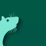 Китайски зодиак – Плъх