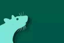 Китайски зодиак - Плъх