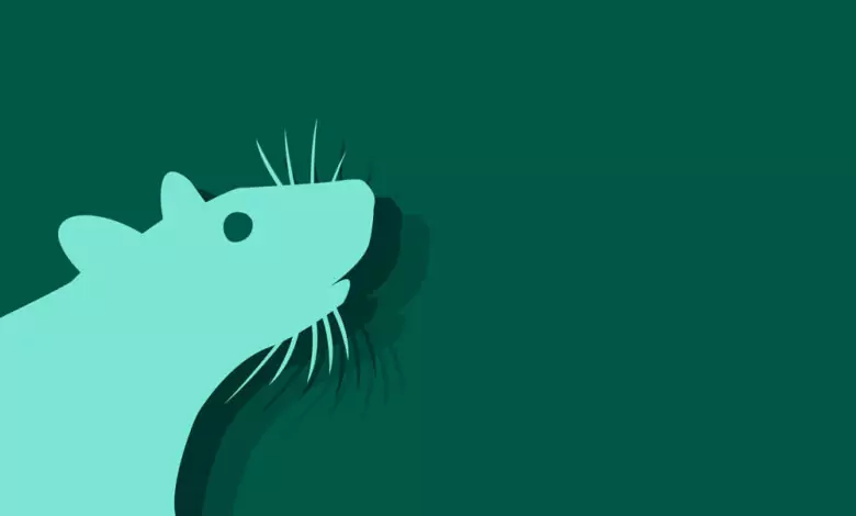 Китайски зодиак - Плъх