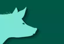 Китайски зодиак - Прасе