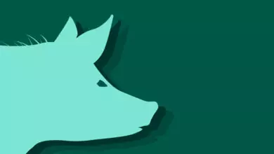 Китайски зодиак - Прасе